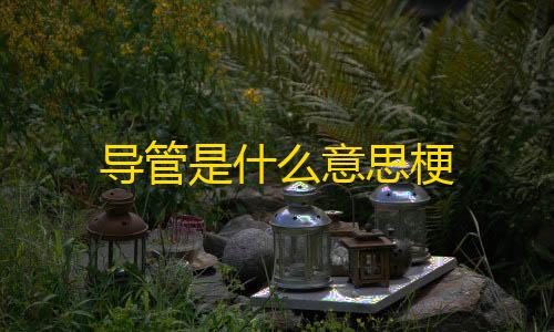 cfm无需多言直装导管是什么意思梗